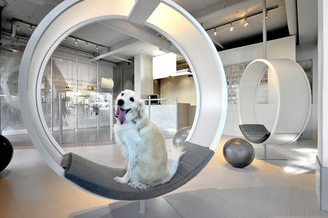 Gallery of Unleashed Dog Spa / Square One Interiors - 1 Pet Cafe, Spa Interior Design, Dog Spa, Dog Grooming Salons, Dog Hotel, Pet Resort, Pet Spa, Dog Cafe, Pet Hotel