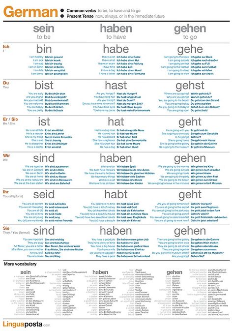 "Learn German - Common German Verbs" Posters by linguaposta | Redbubble German Verbs, Verbs Poster, German Phrases Learning, Verb To Have, Deutsch Language, Study German, Germany Language, German Study, German Phrases