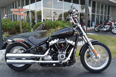 Leesburg Florida, Softail Standard, Road King Harley Davidson, Breakout Harley Davidson, Softail Bobber, Harley Fatboy, Harley Davidson Softail, Softail Slim, Softail Custom