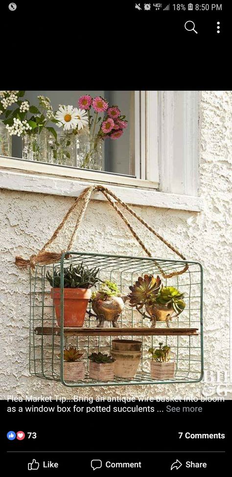 Thrifted Planter Ideas, Flea Market Decorating Ideas, Hanging Wire Basket, Thrifted Home Decor, Flea Market Decorating, Flea Market Flip, Interior Vintage, Flea Market Finds, Rustic Garden Decor