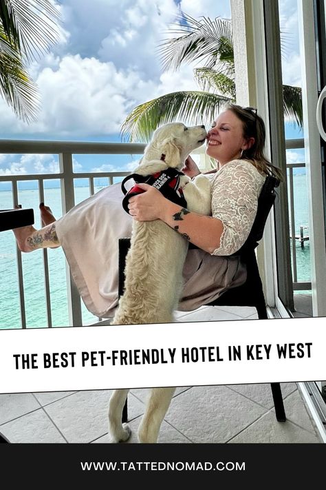 Hyatt Resort is the best of all the pet-friendly hotels in Key West, FL. I loved our stay there! Check out all the details on the blog. #petfriendlyhotel #petfriendlytraveltips #pettraveltips #dogfriendly Pet Friendly Hotel, Key West Beaches, Key Largo Florida, Key West Resorts, Traveling Adventure, Solo Traveling, Dog Friendly Beach, Dog Friendly Hotels, Vacation Goals