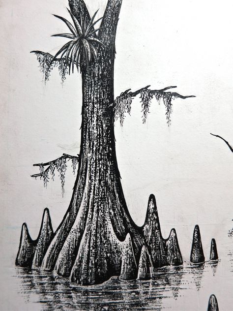 Bayou Tree | by Stampscapes Cypress Trees Drawing, Swamp Aesthetic Drawing, Swamp Trees Drawing, Cyprus Tree Tattoo, Bayou Drawing, Everglades Tattoo, Bayou Tattoo, Swamp Tattoo Ideas, Cypress Tree Drawing