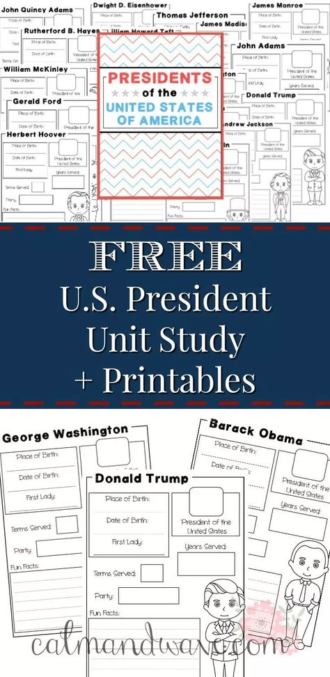 Homeschool Unit Study American Presidents | Social Studies | History | Free Printable | Calm & Wave Homeschool Government Curriculum, Us History Projects, Teaching Social Studies Elementary, February Homeschool, Social Studies Printables, Homeschool Units, Social Studies Projects, Unit Studies Homeschool, Social Studies Notebook