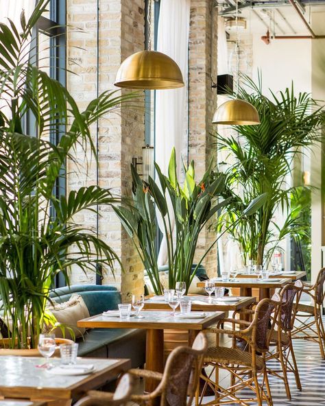 Seabird on Instagram: “Decked out with palm trees and coastal decor, it’s endless summer up here on the 14th floor.” Restaurants Design, London Neighborhoods, Romantic Restaurant, Restaurant Interior Design, Notting Hill, Restaurant Interior, Cafe Interior, Small Plates, Green Living