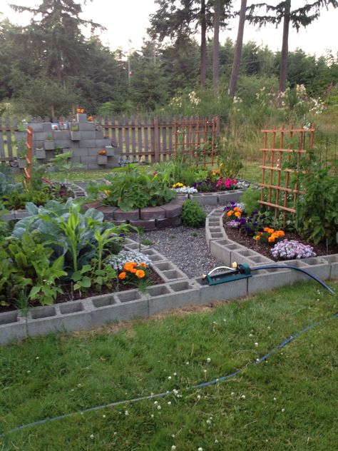 My amazing cinderblock square foot garden Cinder Block Garden, Farmhouse Landscaping, Square Foot Gardening, Garden Design Ideas, Veg Garden, Cinder Block, School Garden, Garden Yard Ideas, Vegetable Garden Design