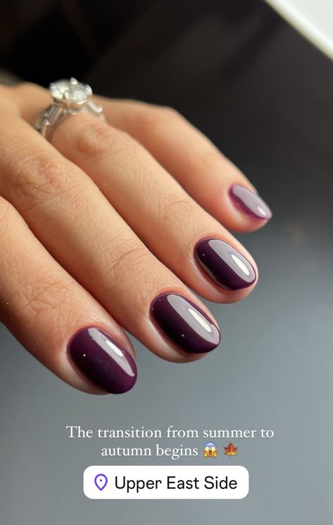 Plum Short Nails, Short Nail Purple, Plum Chrome Nails, Dark Purple Chrome Nails, Dark Plum Nails, Purple Chrome Nails, Plum Nails, Dark Nails, Nails 2024