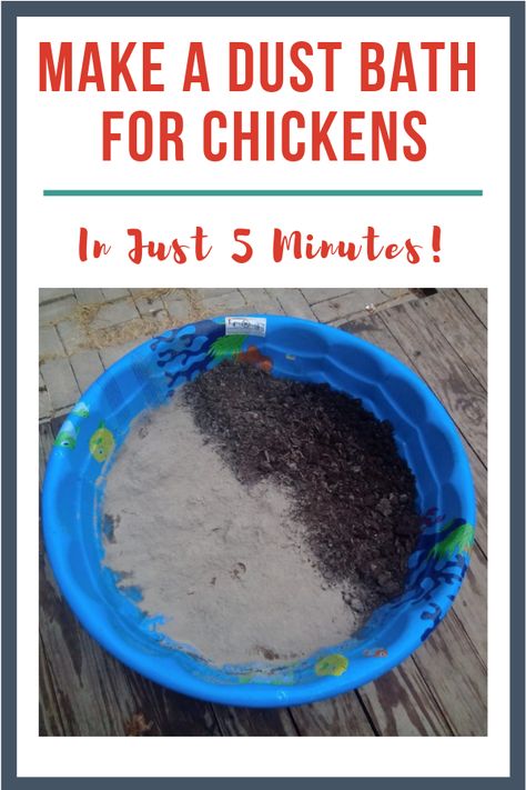 Wondering "do chickens like water baths more than dust baths?" Here's all about chicken dust baths! Dirt Bath Chickens, Diy Chicken Dirt Bath, Chicken Bath Ideas, Chicken Coop Toys Ideas Diy, Chicken Dirt Bath Ideas, All About Chickens, Best Chicken Waterer, Dirt Bath For Chickens, Diy Dust Bath For Chickens