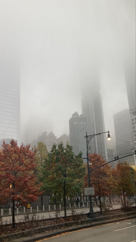 foggy morning view • #newyork #nyc #newyorkcity #manhattan #brooklyn #foggy #autumn #fall #trees #aesthetic Fall Trees Aesthetic, Nyc Morning, New York City Penthouse, Foggy Autumn, Trees Aesthetic, Fall Trees, Morning View, Foggy Morning, Autumn Fall