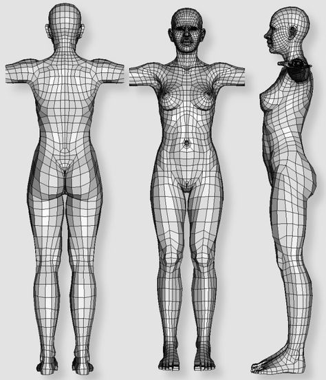 Human female - work in progress (thread will contain nudity) Happy Poses Reference, Female Topology, Maya Modeling, Female Anatomy Reference, Anatomy Models, Character Model Sheet, Human Anatomy Art, Anatomy For Artists, Low Poly Models