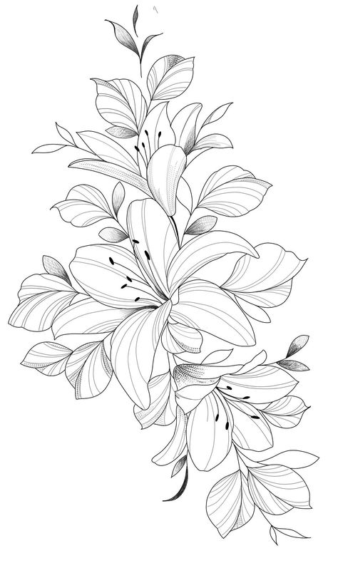 Lily Tattoo Realistic, Flower Line Work Tattoo Design, Flower Shoulder Tattoo Stencil, Tiger Lilly Tattoo Design, Floral Shoulder Tattoo Design, Lily Flower Line Drawing, Amaryllis Tattoo Design, Long Floral Tattoo, Lilly Tattoo Stencil