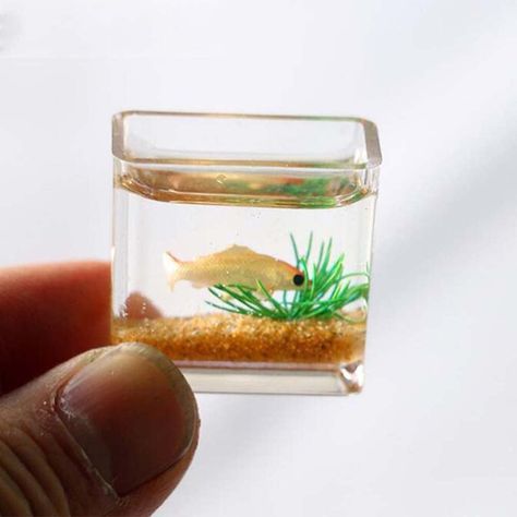 PRICES MAY VARY. Made of high quality acrylic (square)/glass (round) material, safe and durable, realistic and interesting. Designed for 1:12 scale miniature setting. Very suitable for your dollhouse scene. Cute miniature ornaments are very suitable for DIY your creativity, such as creating interesting fairy tale gardens. Perfect gifts and collectibles, suitable for those who like crafts and miniatures! Note: This product is only a toy model. Material: GlassSize: 2*2.5cmColor: As the pictures sh Square Fish Tank, Kids Aquarium, Fish Bowl Decorations, Glass Fish Bowl, Glass Fish Tanks, Fish Tank Accessories, Doll House Crafts, Dollhouse Miniatures Diy, Mini Accessories