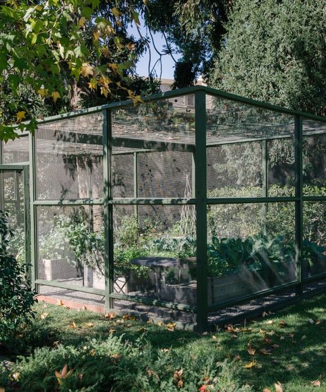 Veggie Garden Enclosure, Garden Enclosure, Walk In Garden Cage, Aviary Netting Chicken Run, Enclosed Garden Structures, Butterfly Garden Greenhouse, Allotment Fruit Cage, Garden Enclosure Ideas, Cattle Panel Hoop House Greenhouse