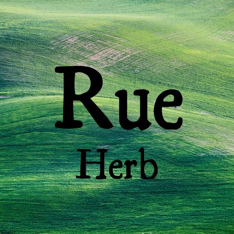 Rue - Herb Rue Herb, Nature Inspired Names, Sims Names, Cute Names, Pet Names, Nature Inspired, Baby Names, Nature Inspiration, Meant To Be