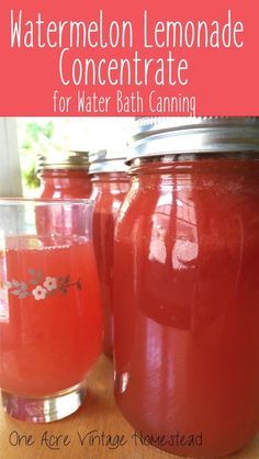 Lemonade Concentrate Recipe, Lemonade Beyonce, Vintage Homestead, Water Bath Canning Recipes, Flavored Lemonade, Pressure Canning Recipes, Canning Fruit, Home Canning Recipes, Canning Food