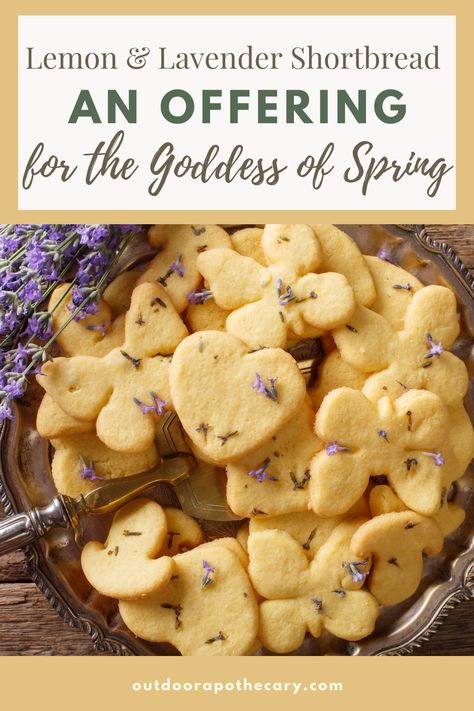 Spring Equinox Baking, Beltane Dessert Recipes, Ostara Recipes Baking, Summer Solstice Cookies, Kitchen Witch Cookies, Cottagecore Cookie Recipe, Herbal Cookie Recipes, Ostara Simmer Pot Recipes, Ostara Traditions Recipes For