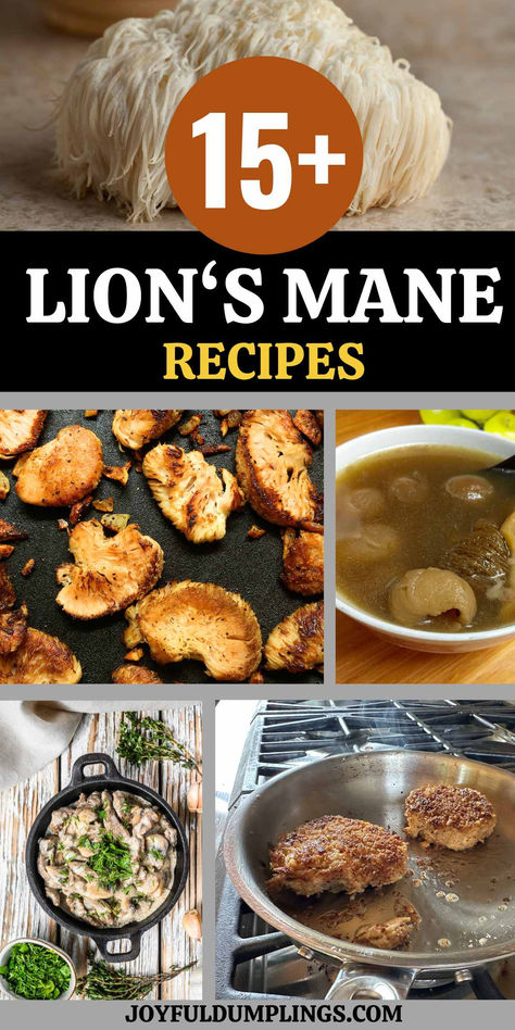 lion mushroom recipe Dried Lions Mane Mushroom Recipe, How To Prepare Lions Mane Mushrooms, Cooking Lions Mane Mushroom, Lion’s Mane Recipe, How To Eat Lions Mane Mushroom, Lions Mane Mushroom Recipe, Vegan Picnic, Mushroom Recipes Healthy, Vegan Crab