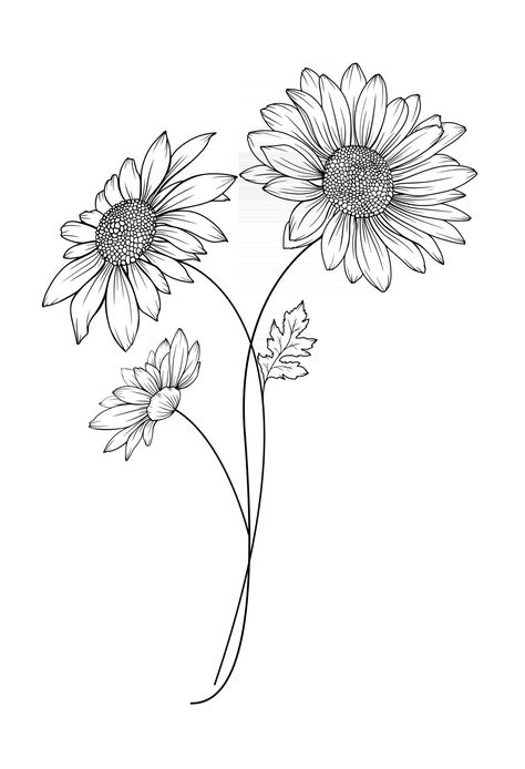 Margarita Tattoo Design, Daisy Bouquet Drawing, Gerbera Flower Tattoo, Gerbera Flower Drawing, Simple Flower Tattoo Outline, Daisy Flower Outline, Flower Tattoo Outline, Daisy Line Art, Simple Flower Outline