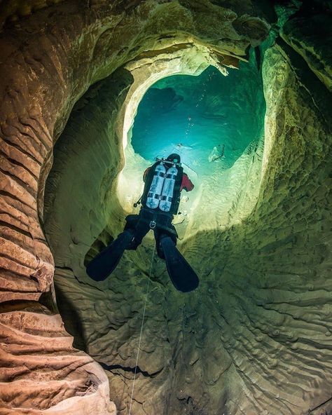 Moon Pool, Underwater Caves, Underwater Pictures, Sea Diving, Cave Diving, Sci Fi Environment, Deep Sea Creatures, Diving Gear, Mermaids And Mermen