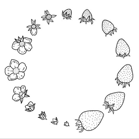 Strawberry Life Cycle Tattoo, Vine Outline Tattoo, Round Tattoo Ideas Circles, Chickpea Tattoo, Strawberry Collarbone Tattoo, Picnic Basket Tattoo, Circle Knee Tattoo, Around The Elbow Tattoos For Women, Feminine Flash Tattoo