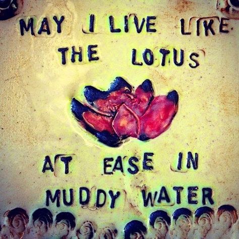 Hippie Quotes, A Course In Miracles, Muddy Waters, The Lotus, Yoga Quotes, E Card, Yoga Inspiration, Beautiful Words, Namaste