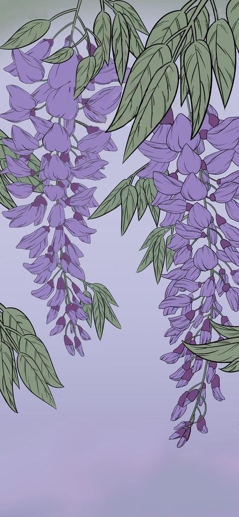 Light Purple Wallpaper, Wisteria Tree, Purple Flowers Wallpaper, Flowery Wallpaper, Drawing Wallpaper, Plant Wallpaper, Nature Drawing, Art Wallpaper Iphone, Iphone Background Wallpaper