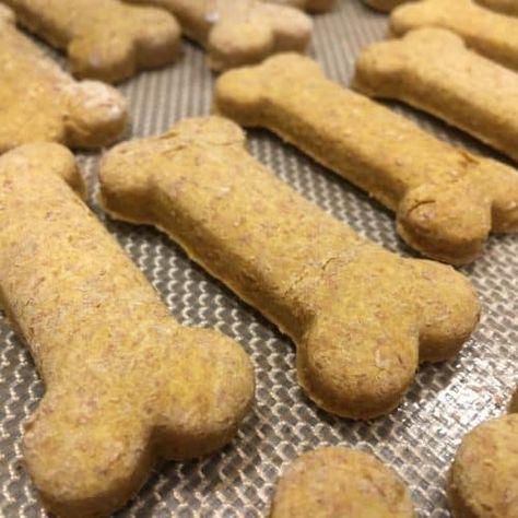 Peanut Butter Pumpkin Dog Treats - The Recipe Bandit Peanut Butter Pumpkin Dog Treats, Butterscotch Fudge, Pumpkin Peanut Butter, Dog Biscuit Recipes, Healthy Dog Treats Homemade, Peanut Butter Dog Treats, Peanut Butter Pumpkin, Pumpkin Dog Treats, Dog Treats Homemade Recipes