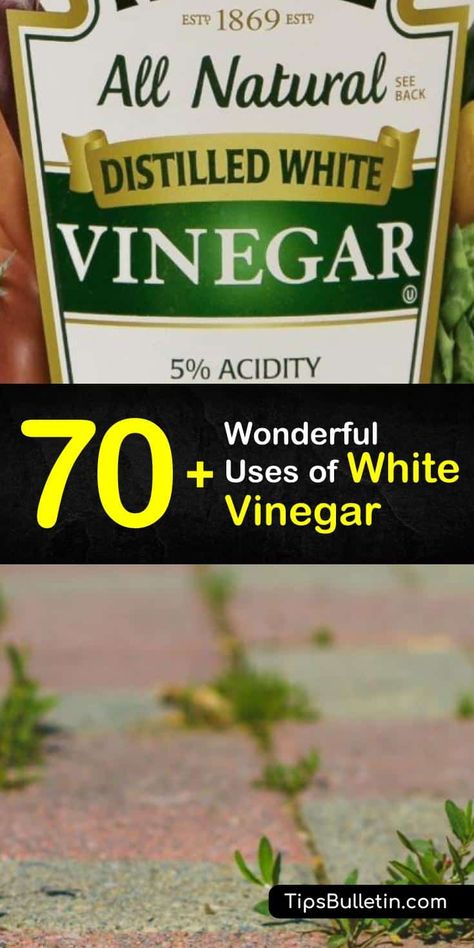 Benefits Of White Vinegar, White Vinegar In Laundry, White Vinegar Uses, Diy White Vinegar, Vinegar For Weeds, Vinegar Health Benefits, Uses For White Vinegar, Vinegar In Laundry, Vinegar Benefits