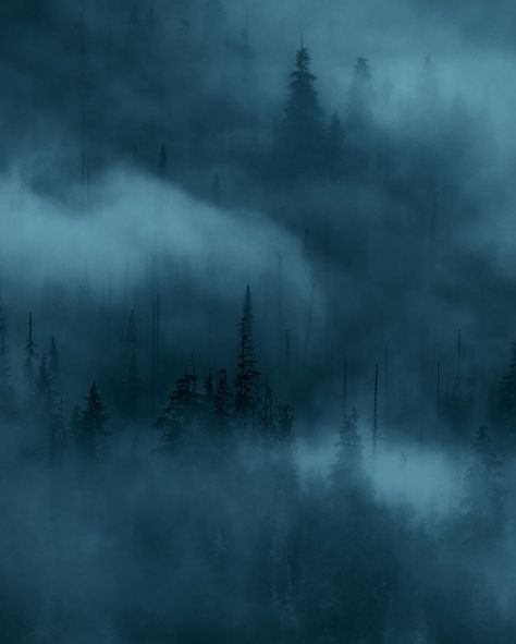 Blue Landscape Aesthetic, Mist Aesthetic, Mist Wallpaper, Dark Naturalism, Photography Diy, Print Photography, Misty Forest, Blue Forest, Home Diy Ideas