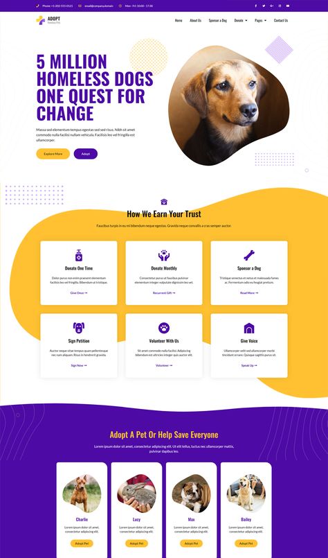 Adoption Service & Charity Elementor Template Kit Charity Website Design, Elementor Templates, Creative Website Design, Creative Website, Homeless Dogs, Best Web Design, Site Design, Best Web, Dog Care