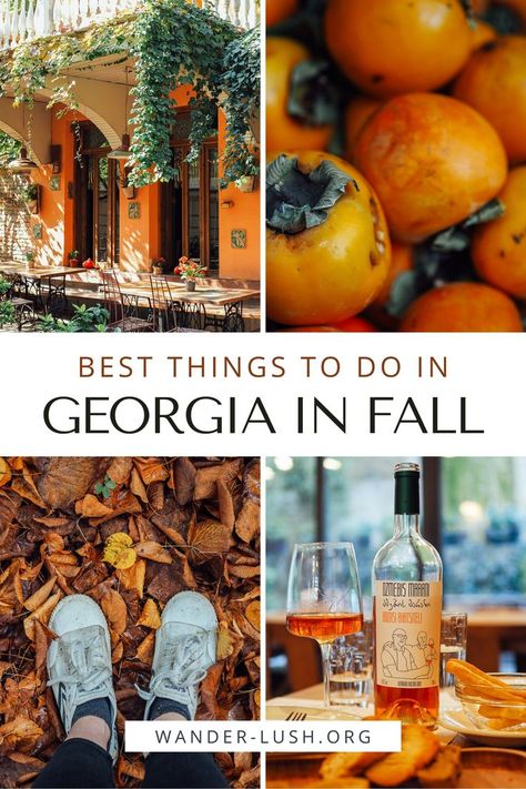 Georgia travel | Georgia Caucasus | Georgia Europe | Georgia in fall | Georgia in autumn | Things to do in Georgia in September | Tbilisi in September | Tbilisi in October | Tbilisi in November Things To Do In Georgia, Fall Traditions, Southern Usa, Travel Georgia, Best Pumpkin Patches, Autumn Travel, Visit Georgia, Visit Savannah, Atlanta Botanical Garden