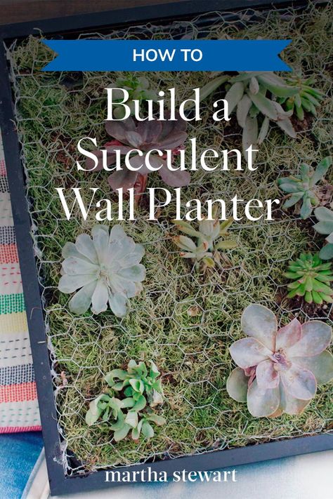 How To Make Succulent Wall Planter, Succulent Wall Garden Diy, Wall Hanging Succulent Planters, Diy Succulent Wall Art, Diy Wall Garden, Succulent Arrangements Wall Hanging, Succulent Vertical Wall, Succulent Wall Bedroom, Succulent Frame Wall Hangings Diy