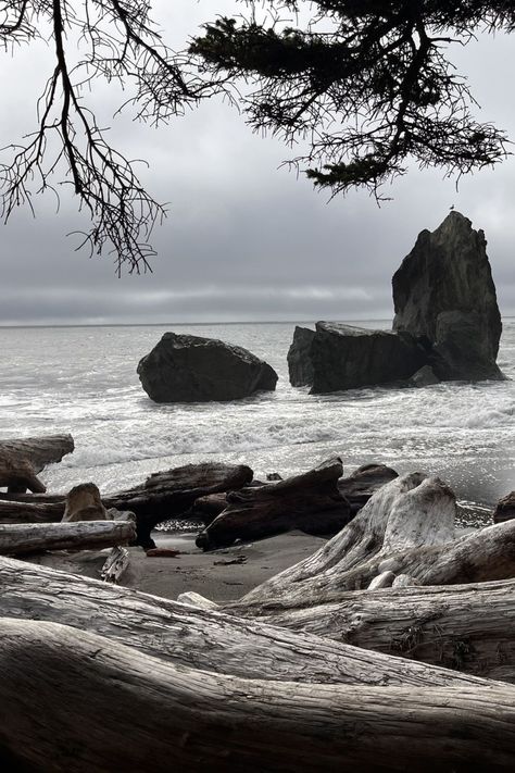 La Push Washington, La Push Beach, Rialto Beach, Pin Boards, Olympic Peninsula, A Aesthetic, Alternate Universe, Resting Place, Forks