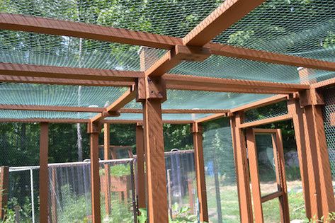 Check out this amazing garden enclosure submitted by a Clover and Thyme reader! Squirrel Proof Garden Enclosure, Vegetable Garden Enclosure Ideas, Enclosed Orchard, Enclosed Garden Ideas Raised Beds, Enclosed Garden Ideas, Enclosed Vegetable Garden, Enclosed Garden Structures, Garden Enclosures, Squirrel Proof Garden