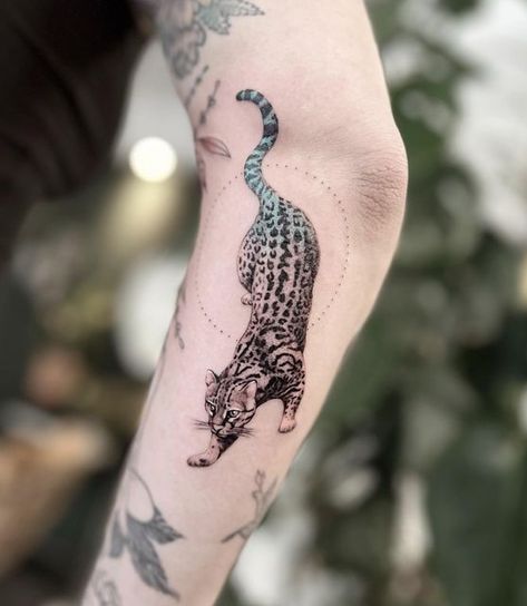 Ocelot Tattoo Design, Animal Tattoo Placement, Jungle Cat Tattoo, Cat Arm Tattoo, Ocelot Drawing, Ocelot Tattoo, Jasper Tattoo, Wild Cat Tattoo, Rainforest Tattoo