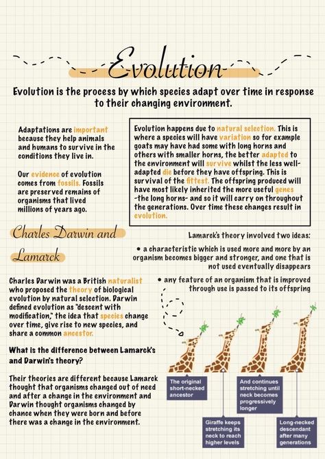 Natural Selection Notes, Evolution Notes Biology, Grade 11 Biology Notes, Ecosystem Notes, Science Notes Aesthetic, Evolution Aesthetic, Evolution Notes, Aesthetic Biology Notes, Biology Basics