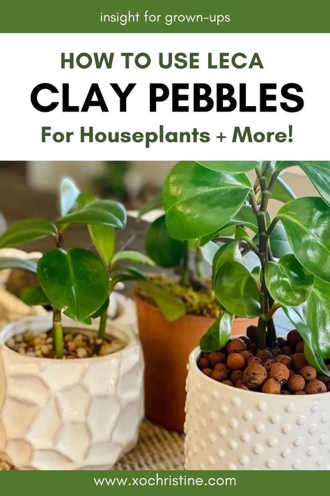 Hydroponic Clay Pebbles, How To Use Clay Pebbles For Plants, Clay Pebbles For Plants, Leca Balls For Indoor Plants, Leca House Plants, Leca Balls For Plants, Leca Plants, Garden Sticks, Planting In Clay