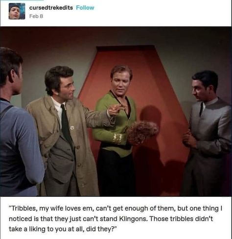 Tribbles Star Trek, Data Star Trek, Stark Trek, Nerdy Humor, Star Trek Funny, Star Trek Original Series, Star Trek Ships, Star Trek Tos, The Final Frontier