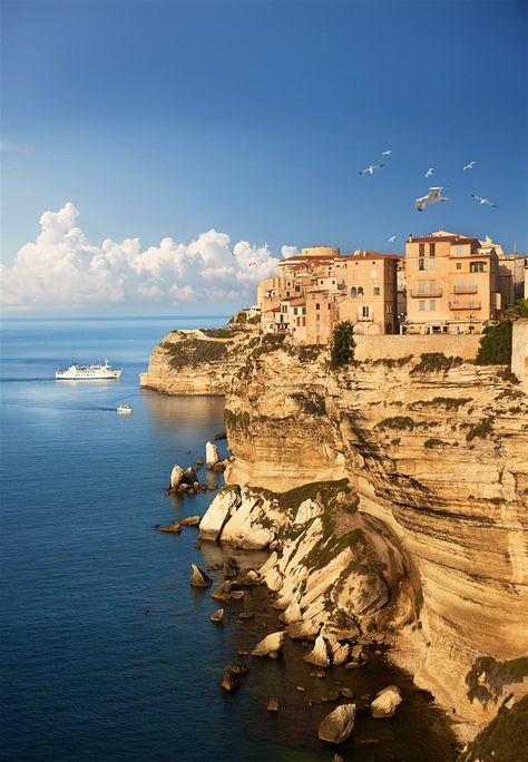 Bonifacio France, Bonifacio Corsica, Corsica Travel, Ormanlık Alan, Normandy Beach, Medieval Houses, Jules Verne, Loire Valley, World View