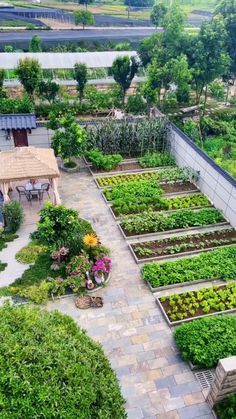 نباتات منزلية, Vegetable Garden Planning, Backyard Vegetable Gardens, Garden Idea, Garden Design Plans, Home Garden Design, Home Vegetable Garden, Vegetable Garden Design, Small Garden Design