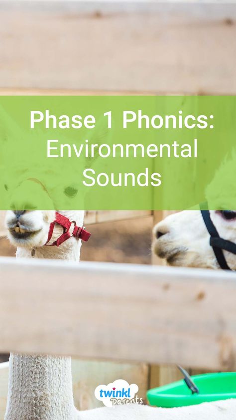 Learn more about what environmental sounds are and how you can support your child. This blog is a perfect guide to help you understand phonics, and engage your child in phonics activities at home. Which activity will you try first? Environmental Sounds Eyfs, Phase 1 Phonics Environmental Sounds, Environmental Sounds Activities, Phonics Preschool, Phonics Phase 1, Phonics For Kindergarten, Phase 1 Phonics, How To Teach Phonics, Phonics Videos