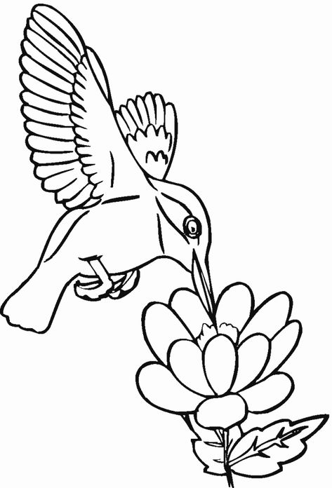 Hummingbird Coloring Pages, Heart Shapes Template, Bird Embroidery Pattern, Bird Coloring, Bird Coloring Pages, Butterfly Drawing, Easy Coloring Pages, Humming Bird, Coloring Page Ideas