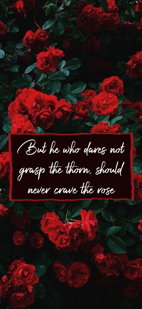 “But he who dares not grasp the thorn, should never crave the rose” But He Who Dares Not Grasp The Thorn, 2024 God, Thorn In The Flesh, Anne Bronte, Rose Thorns, Quote Wallpaper, Rose Wallpaper, Poetry Quotes, You Make Me