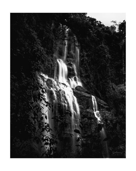 Dab-dabe falls also known as Buttermilk falls,near Chikmagalur,Karnataka,India Buttermilk Falls, Butter Milk, School Trip, Black N White, Buttermilk, White Photography, Black And White Photography, Butter, Milk