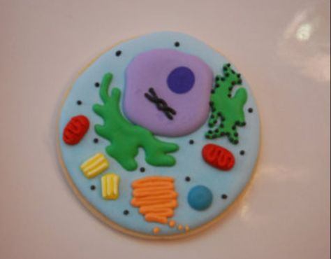 Cell cookie Biology Cookies, Edible Animal Cell, Cell Project Ideas, Edible Cell Project, Neuron Model, Edible Cell, Animal Cell Project, School Baking, Science Cake