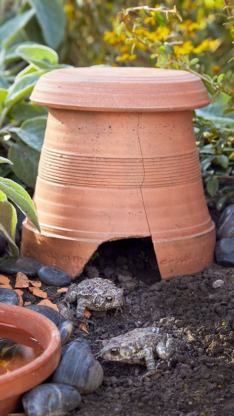 Toad House, Vegetable Garden Raised Beds, Garden Animals, Wildlife Gardening, Garden Art Sculptures Diy, Have Inspiration, Garden Artwork, Garden Art Projects, Garden Yard Ideas