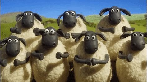 Happy Birthday GIF Applause Gif, Clapping Gif, Funny Happy Birthday Gif, Ok Gif, Animiertes Gif, Aardman Animations, Shaun The Sheep, Funny Happy Birthday, The Sheep