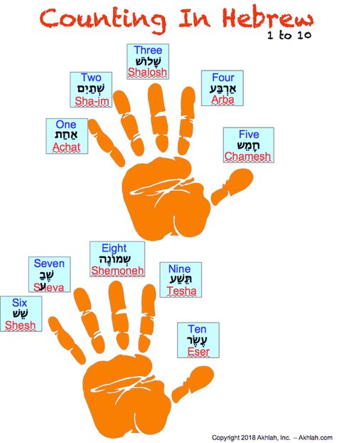 Counting in Hebrew - 1 to 10 Learn Hebrew Alphabet, Hebrew Language Learning, Hebrew Language Words, Hebrew Education, Hebrew Vocabulary, Hebrew Writing, Jewish Learning, English To Hebrew, Hebrew Lessons