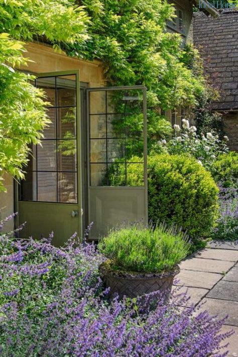 This outdoor plant could help you sell your home… do you already have it in your garden? Never underestimated a hint of flower power. It’s a no brainer that gardens have a huge impact when attracting a potential buyer. If you’re looking to sell, we have the low-down on the #mostdesirableoutdoorplants that could help #sellyourhome.  Tidying up the lawn, and getting on with a bit of weeding is a great place to start. However, some well-chosen plants can also work wonders. #sellinghousetips Small Cottage Garden Ideas, Plants For Small Gardens, Wisteria Plant, Mediterranean Plants, Sensory Garden, Dry Garden, Sloped Garden, Garden Images, Mediterranean Garden