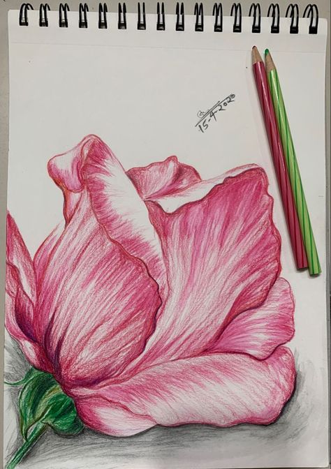 Drawing Ideas Colored Pencil, Pretty Woman Aesthetic, Moment Drawing, Colored Pencil Artwork Ideas, Pencil Picture, Aesthetic Paintings, Colored Pencil Art Projects, Color Pencil Sketch, Beautiful Flower Drawings