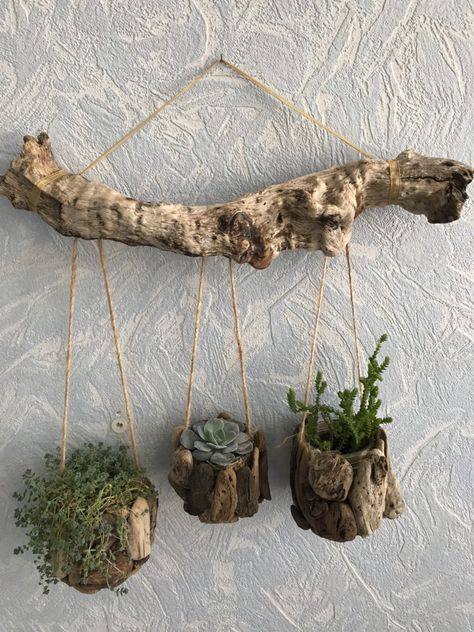 Driftwood Planters Diy, Driftwood Garden Ideas, Driftwood Plant Hanger, Driftwood Planters, Air Plants Decor, Indoor Plant Wall, Driftwood Art Diy, نباتات منزلية, Driftwood Projects